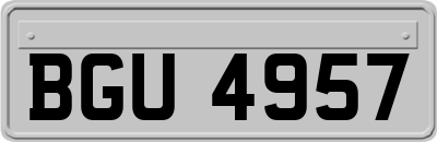 BGU4957