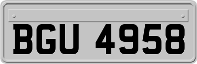 BGU4958