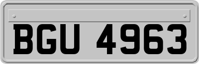 BGU4963