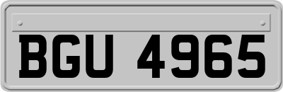 BGU4965