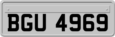 BGU4969