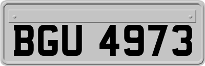 BGU4973