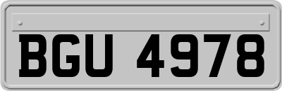 BGU4978