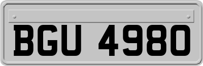BGU4980