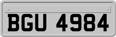 BGU4984