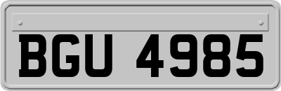 BGU4985