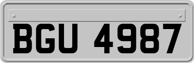 BGU4987