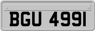 BGU4991