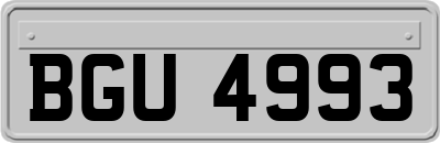 BGU4993