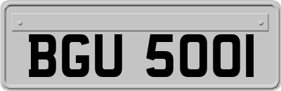 BGU5001
