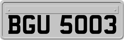 BGU5003
