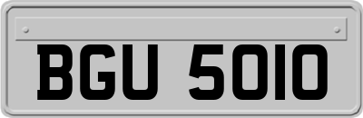BGU5010