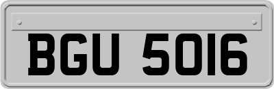 BGU5016