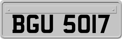 BGU5017