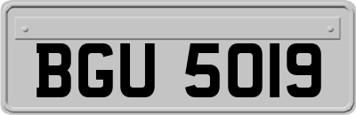 BGU5019