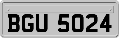 BGU5024