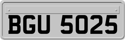 BGU5025