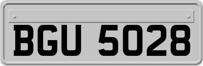 BGU5028
