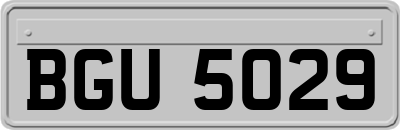 BGU5029