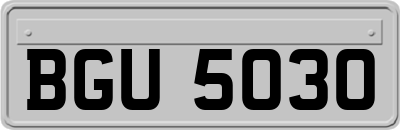 BGU5030