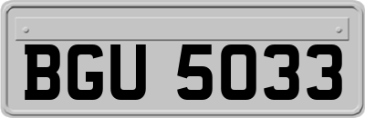 BGU5033