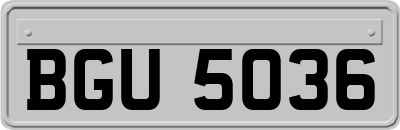 BGU5036