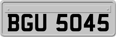 BGU5045