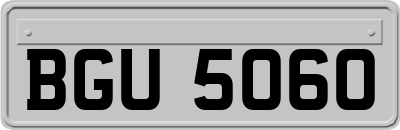 BGU5060