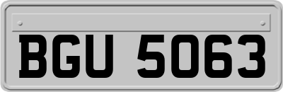 BGU5063