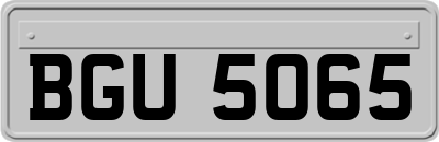 BGU5065