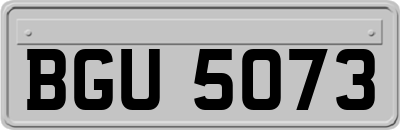 BGU5073