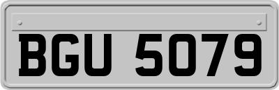 BGU5079