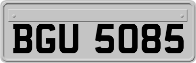 BGU5085