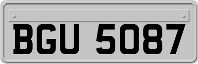 BGU5087