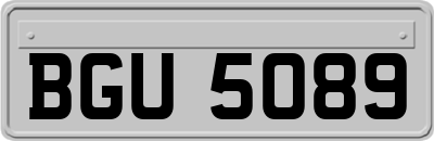 BGU5089