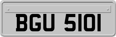BGU5101