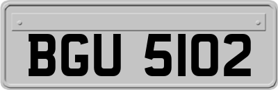 BGU5102