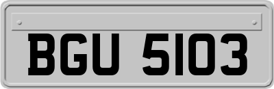 BGU5103