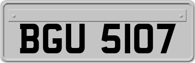 BGU5107