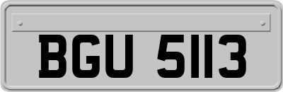 BGU5113