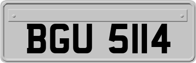 BGU5114