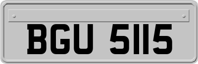 BGU5115