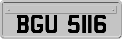 BGU5116