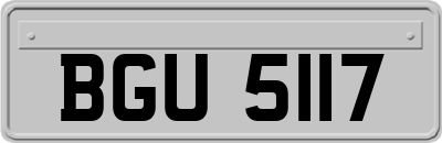 BGU5117