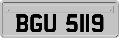 BGU5119