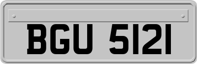 BGU5121