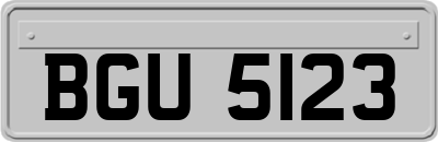 BGU5123