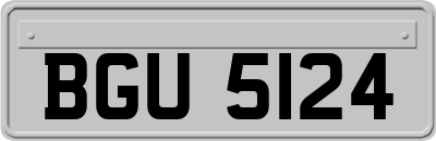BGU5124