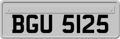 BGU5125