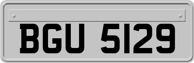 BGU5129